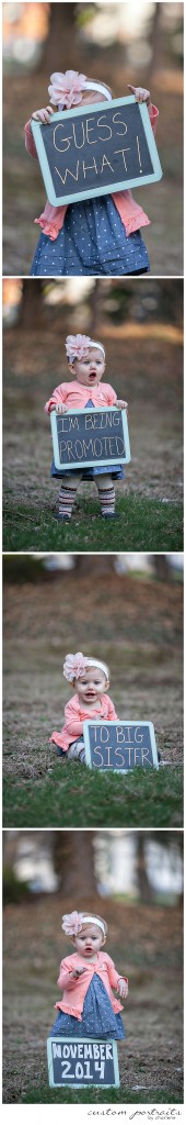 PITTSBURGH FAMILY PHOTOGRAPHER SECOND BABY ANNOUNCEMENT BIG SISTER ANNOUNCEMENT (2)