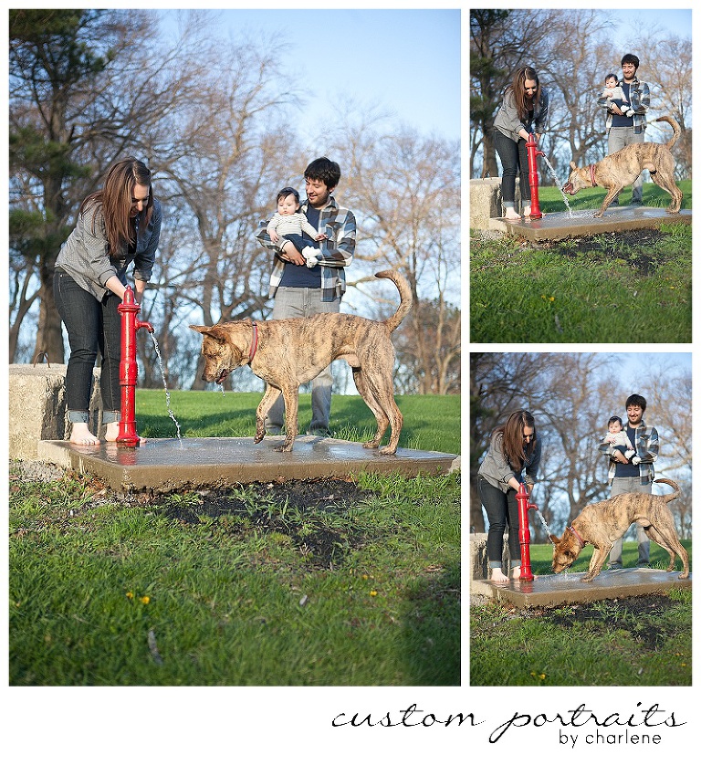 six month old six months photos family session with dog pittsburgh family photographer (7)