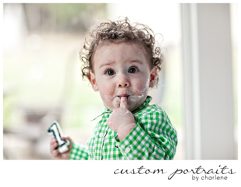 pittsburgh baby photographer first birthday cake smash session hopewell township boy first birthday 1st bday balloons cake gingham green blue (14)