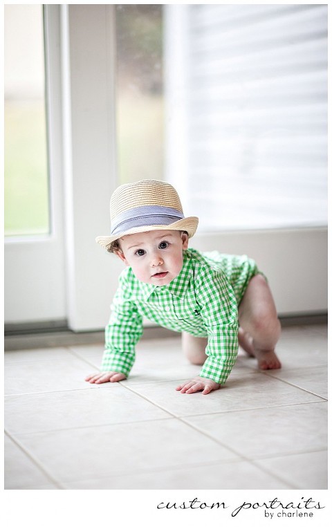 pittsburgh baby photographer first birthday cake smash session hopewell township boy first birthday 1st bday balloons cake gingham green blue (3)