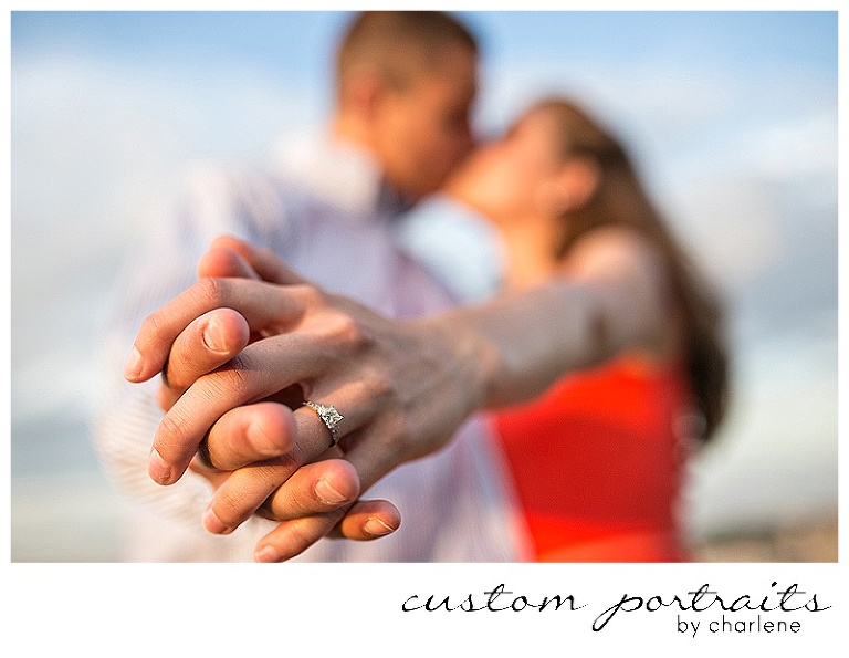 pittsburgh engagement session pittsburgh wedding photographer custom portraits by charlene schenley park engagement session mount washington engagement photos engagement pictures (21)