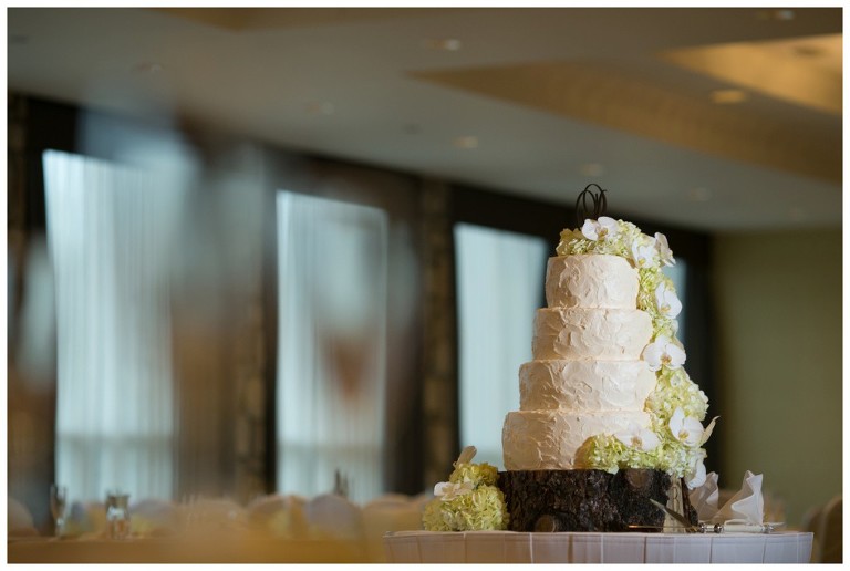 Pittsburgh Wedding Photographer - Doubletree Wedding Moon Township - Spring wedding in Pittsburgh (33)