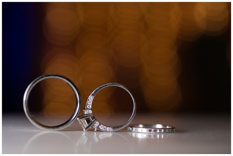 pittsburgh wedding photography priory wedding photographer north shore portraits (42)
