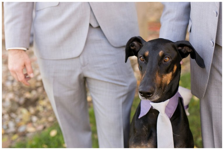 rustic acres farm wedding - volant pa wedding photographer - dog in wedding portraits - barn wedding photography pittsburgh event portrait photography - pittsburgh pet photographer (11)