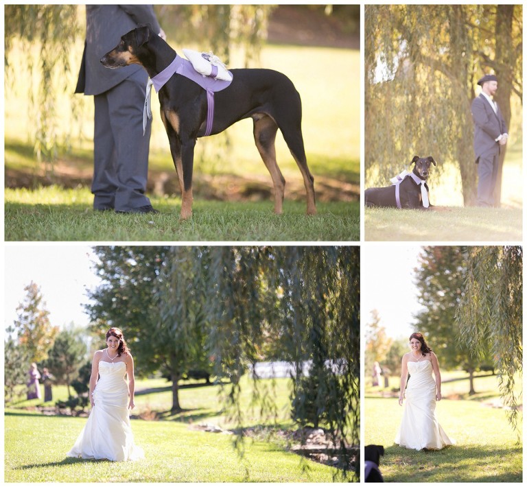 rustic acres farm wedding - volant pa wedding photographer - dog in wedding portraits - barn wedding photography pittsburgh event portrait photography - pittsburgh pet photographer (12)