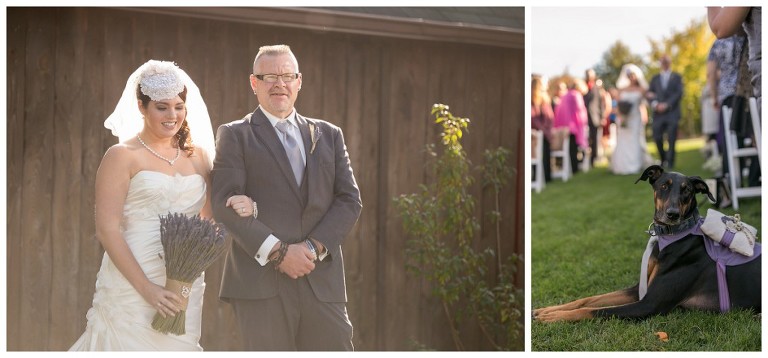 rustic acres farm wedding - volant pa wedding photographer - dog in wedding portraits - barn wedding photography pittsburgh event portrait photography - pittsburgh pet photographer (22)