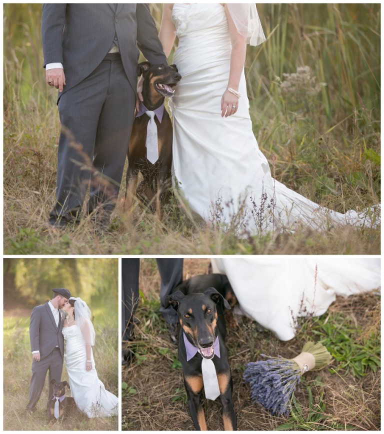 rustic acres farm wedding - volant pa wedding photographer - dog in wedding portraits - barn wedding photography pittsburgh event portrait photography - pittsburgh pet photographer (45)