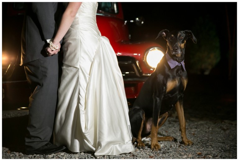 rustic acres farm wedding - volant pa wedding photographer - dog in wedding portraits - barn wedding photography pittsburgh event portrait photography - pittsburgh pet photographer (47)
