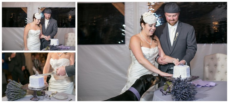 rustic acres farm wedding - volant pa wedding photographer - dog in wedding portraits - barn wedding photography pittsburgh event portrait photography - pittsburgh pet photographer (52)