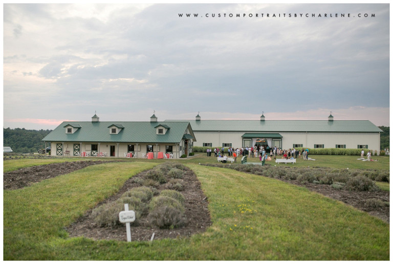 Destiny Hill Farm Wedding Photographer - Pittsburgh Portrait Photography - pgh wedding photographer -washington pa wedding (15)