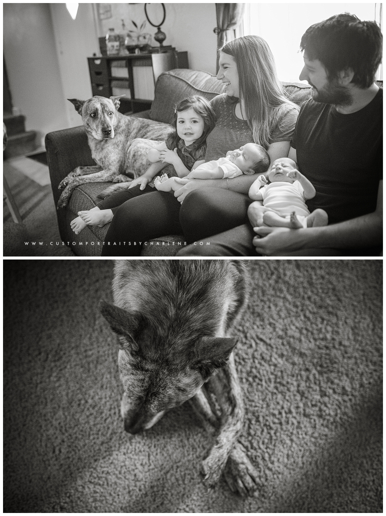 Mt Lebanon Family Photographer - Lifestyle Newborn Portraits - Pittsburgh Documentary Photography - Twin Newborn Session Pictures Photos 3