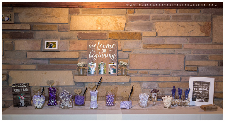 Hyeholde Restaurant Bridal Shower Photography - Pittsburgh Moon Township Wedding Photographer - Candy Table Ideas1