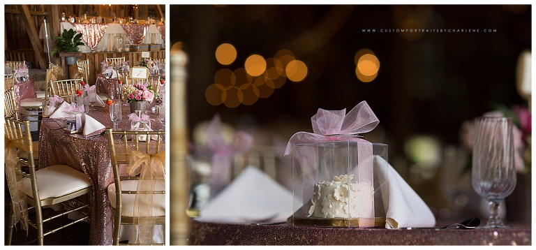 hayloft-rockwood-pa-wedding-photographer-professional-pictures-pittsburgh-wedding-photography15