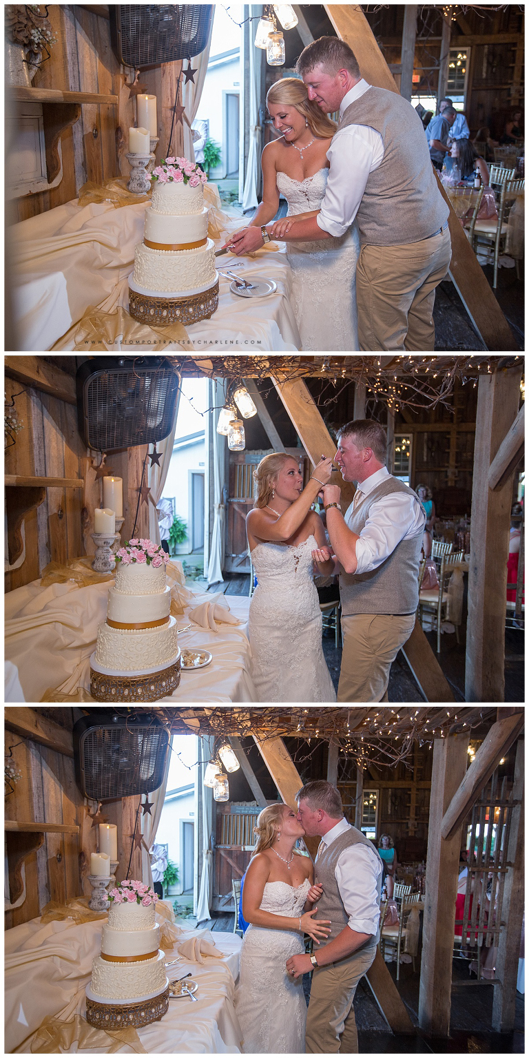hayloft-rockwood-pa-wedding-photographer-professional-pictures-pittsburgh-wedding-photography29