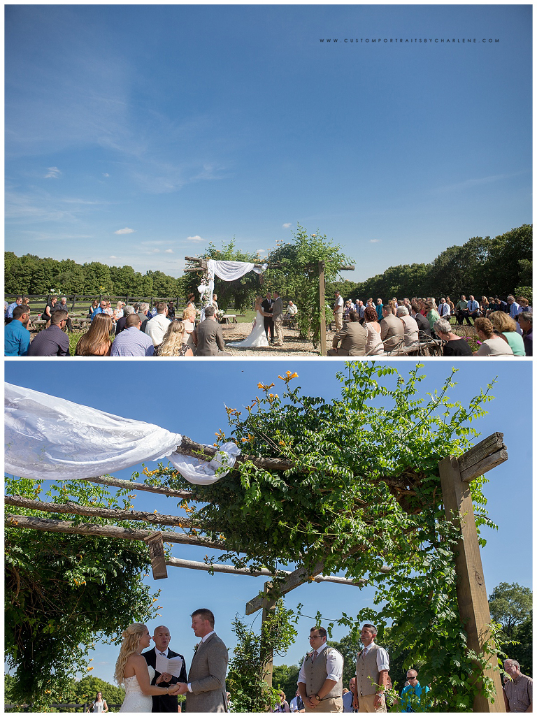 hayloft-rockwood-pa-wedding-photographer-professional-pictures-pittsburgh-wedding-photography6