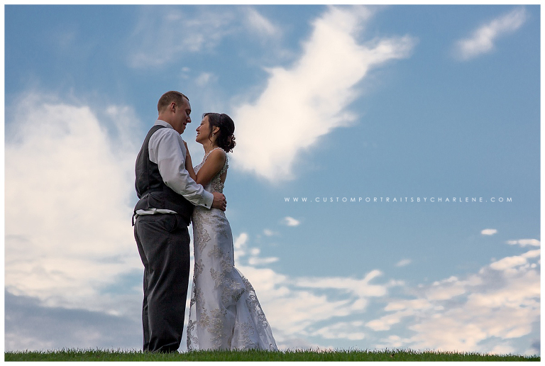 seven-oaks-country-club-wedding-pittsburgh-wedding-photographer-beaver-pa-wedding22