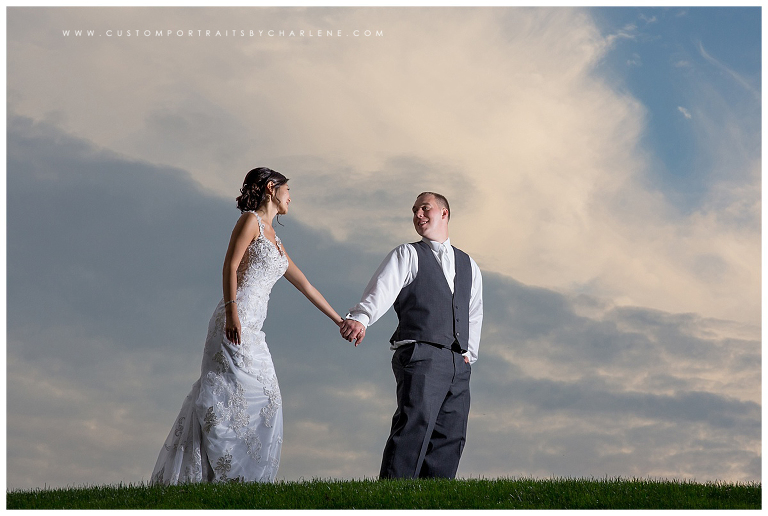 seven-oaks-country-club-wedding-pittsburgh-wedding-photographer-beaver-pa-wedding24