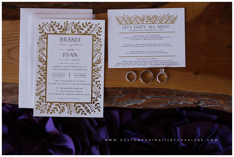 st-bernards-pittsburgh-wedding-ceremony-reception-destiny-hill-farm-washington-pa-wedding-photographer19