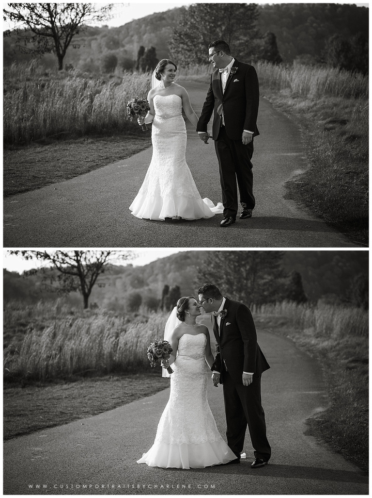 shakespeares-wedding-beaver-county-wedding-photographer-unique-wedding-venues-pittsburgh10