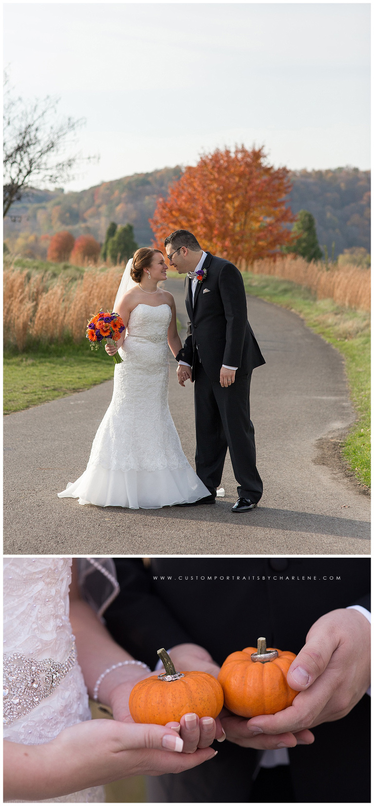 shakespeares-wedding-beaver-county-wedding-photographer-unique-wedding-venues-pittsburgh11