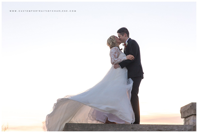 Pittsburgh Wedding Photographer Winter Wedding Columbus Ohio Daughter in Wedding Flower girl poses20